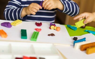 Compte Rendu FS Exceptionnelle ENFANCE (02/02/2026)