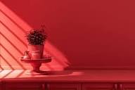 Réponse du DGSD concernant la situation du Salon Rouge