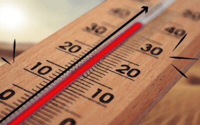 Assistants familiaux : La FSU appelle à négocier un plan canicule adapté